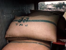 Bags of rice delivered during floods at NKP 1967, Ralph Graves photo