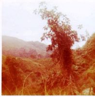 Jungle survival school, PI, 1972.8a