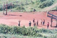 making the shot