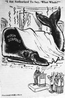 n White House cartoon